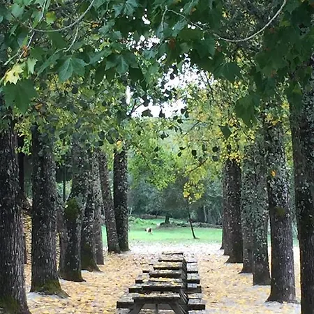 Casinha De Pedra Сasa de vacaciones Penacova