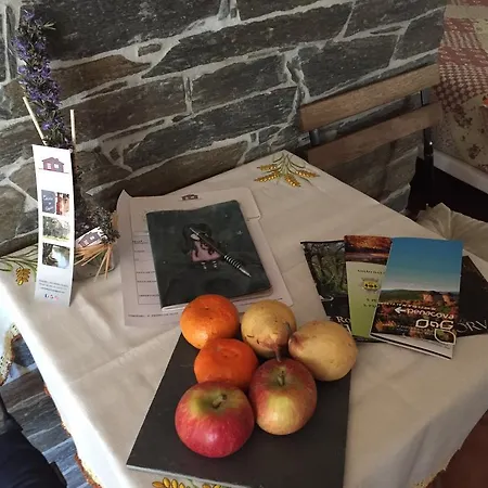 Casinha De Pedra Penacova