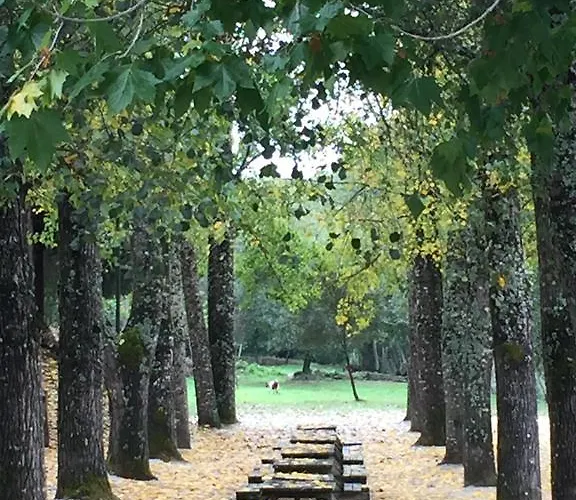 Casinha De Pedra בית נופש פנקובה